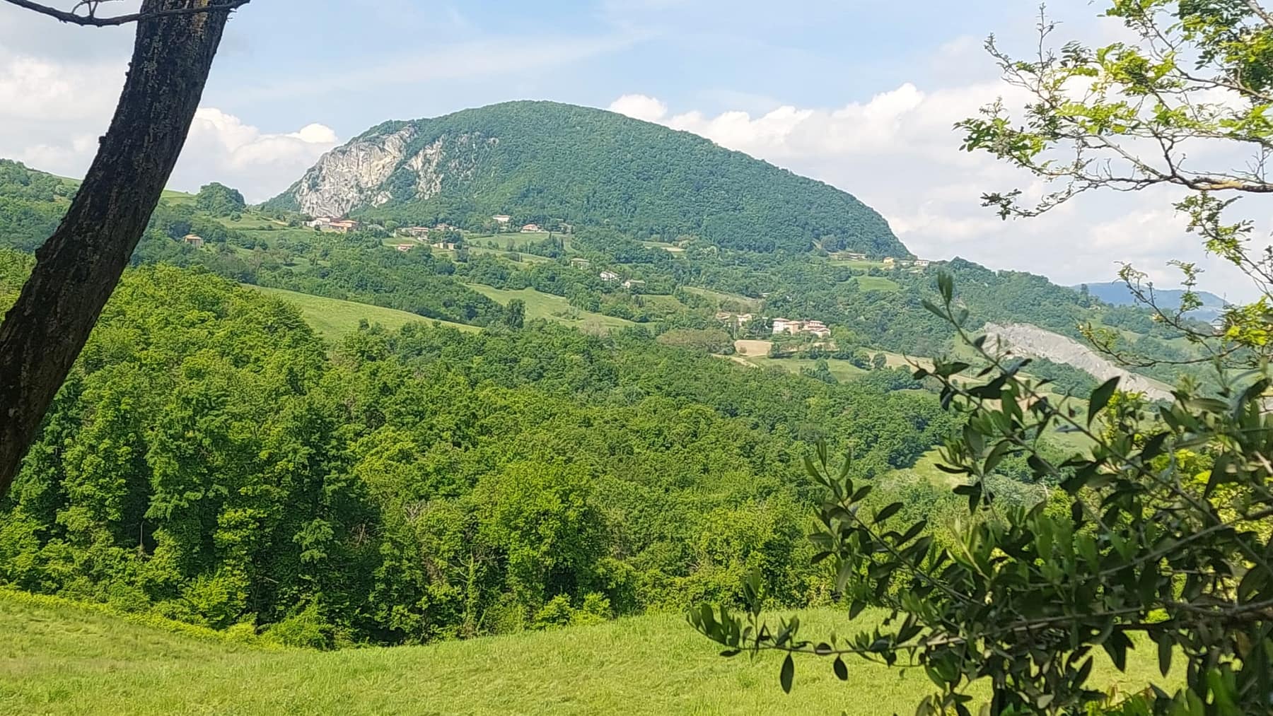 Il paesaggio dell'Appennino reggiano visto dalle vigne di Gargeto